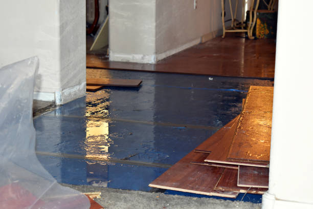 Professional Basement Flood Cleanup technician working in Morristown, OH